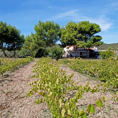 Vacanze Banchi