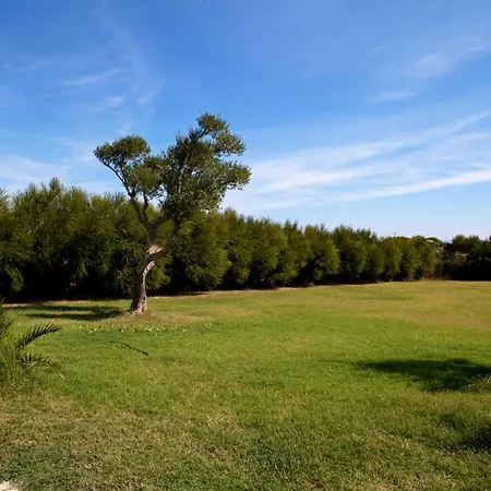Holiday home Vacanze Banchi Carloforte (Isola di San Pietro)